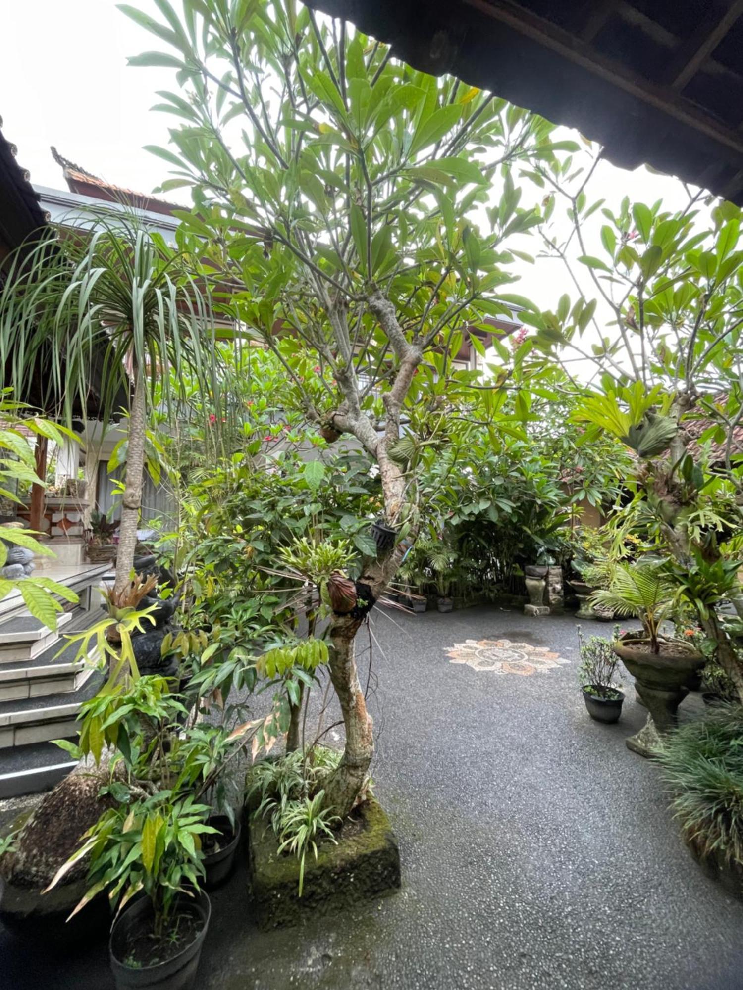 Suntari Homestay Ubud  Exterior photo